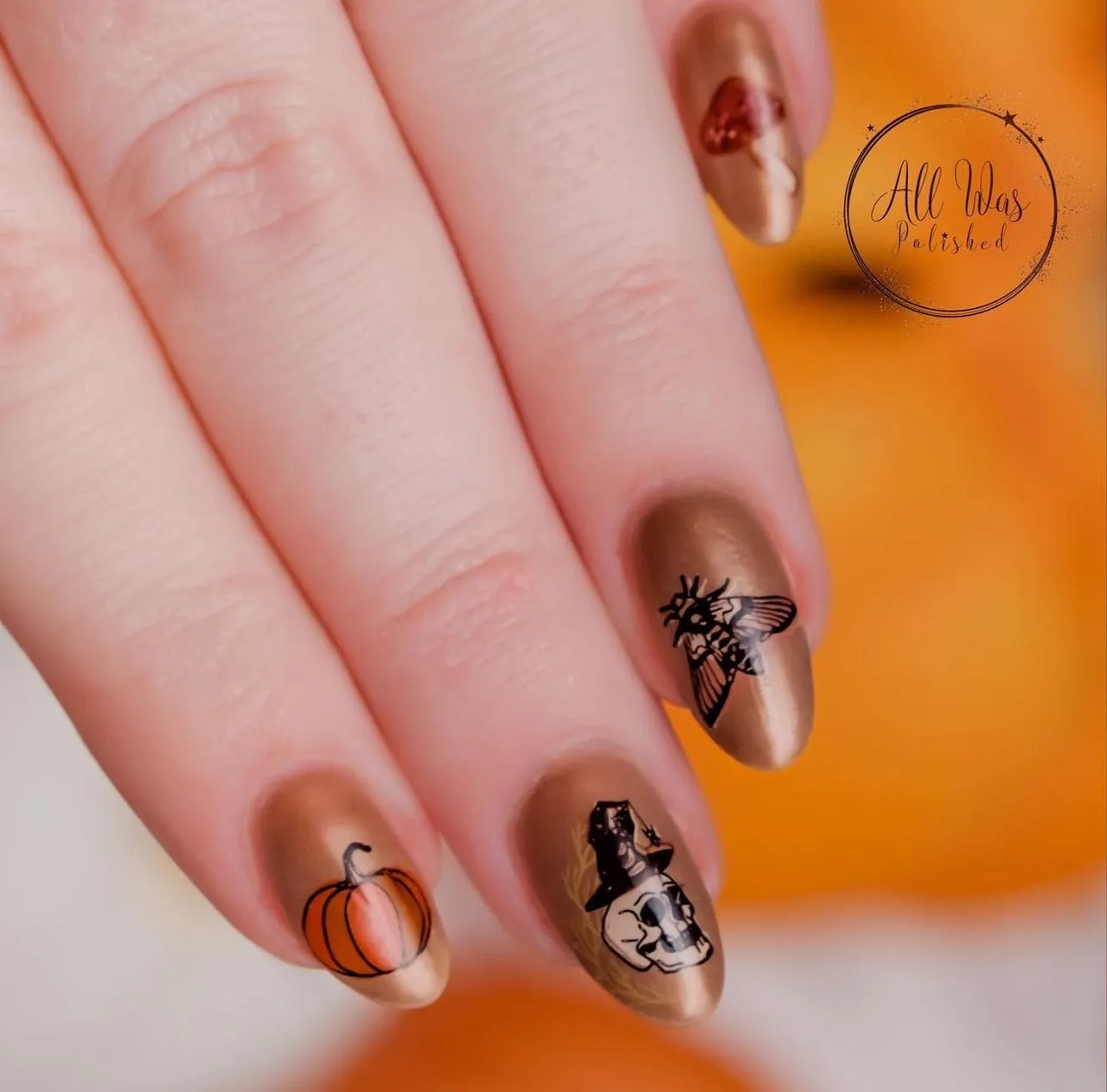 Boho Halloween (CjSH-74) Steel Nail Art Stamping Plate
