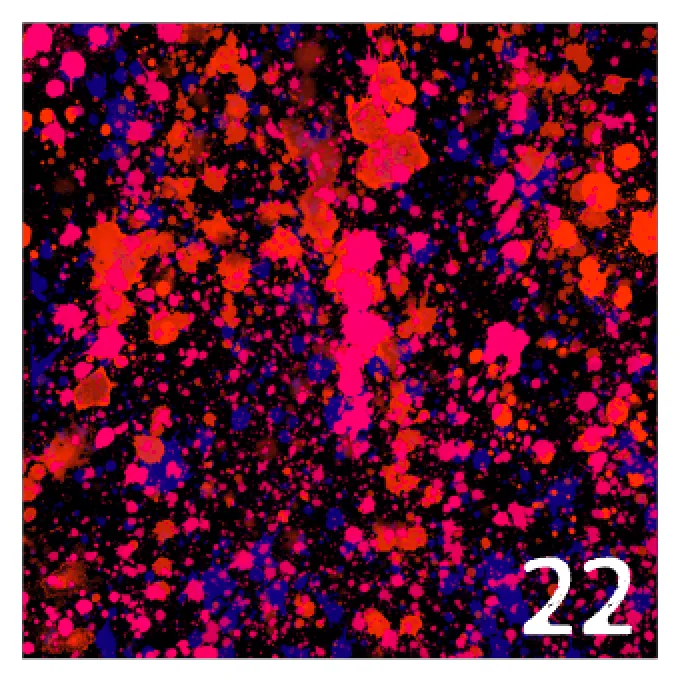 Printed Adhesive Vinyl NEON PAINT SPLATTER on Black Background